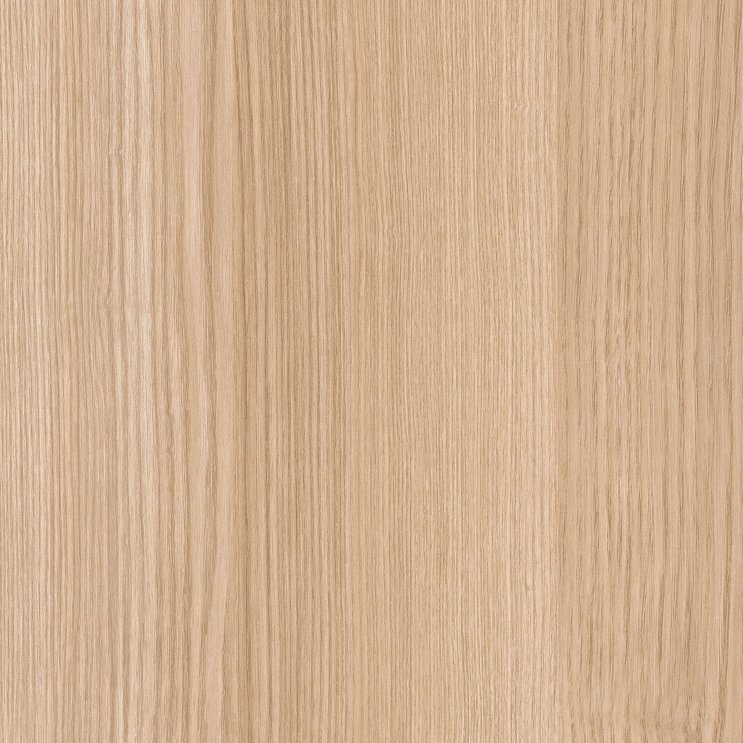 Treasure Island - Cypress Commercial Wallcovering